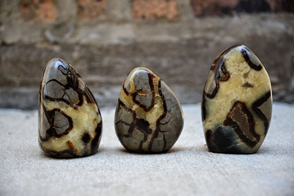 Septarian Freeforms