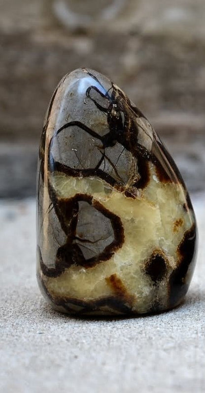 Septarian Freeforms