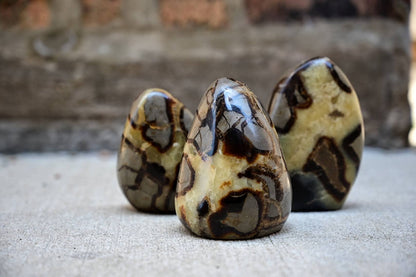 Septarian Freeforms