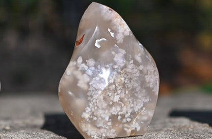 Flower Agate Flames