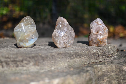 Flower Agate Flames