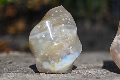 Flower Agate Flames
