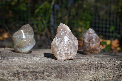 Flower Agate Flames