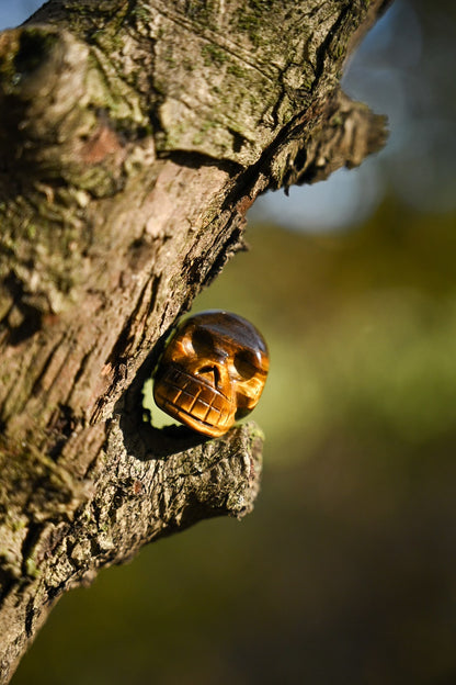 Mini Tiger's Eye Skull