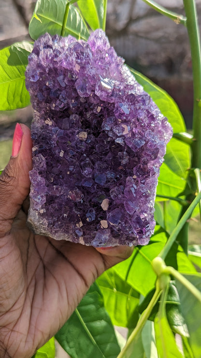 Druzy Amethyst Cutbase