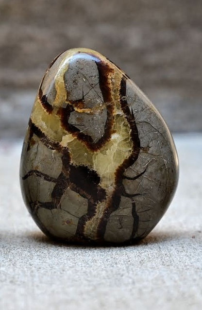 Septarian Freeforms