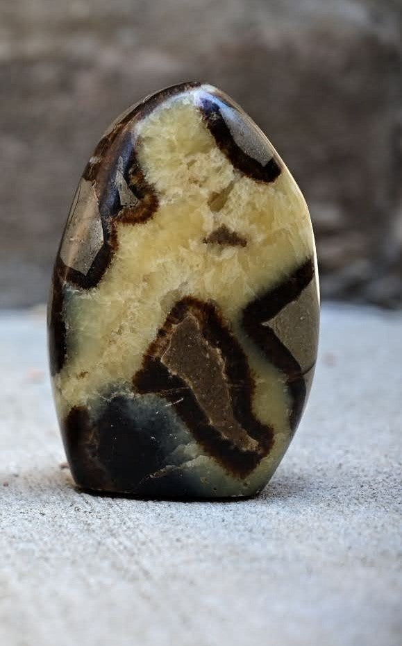 Septarian Freeforms